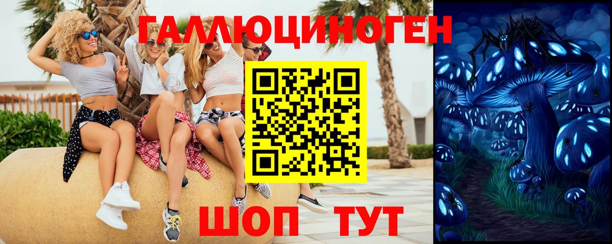 Курчатов  Галлюциногенные грибы мицелий  Вход с VPN  Галлюциногенные грибы MAGIC MUSHROOMS 
